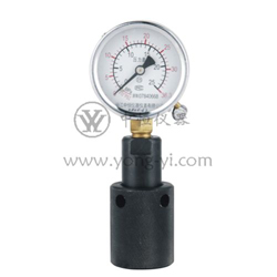 Wellhead pressure measurement device